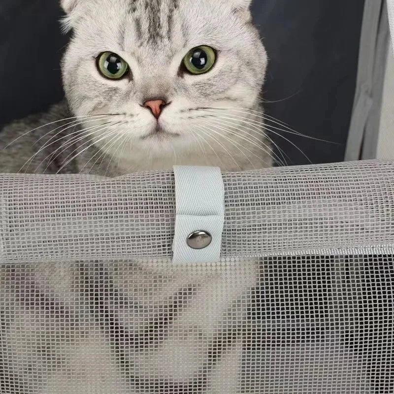 PachaPack – Sac à Dos de Transport Premium pour Chat