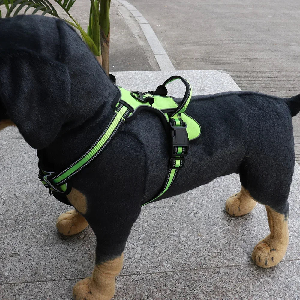 TitanStrap – Harnais de Contrôle & Confort Absolu