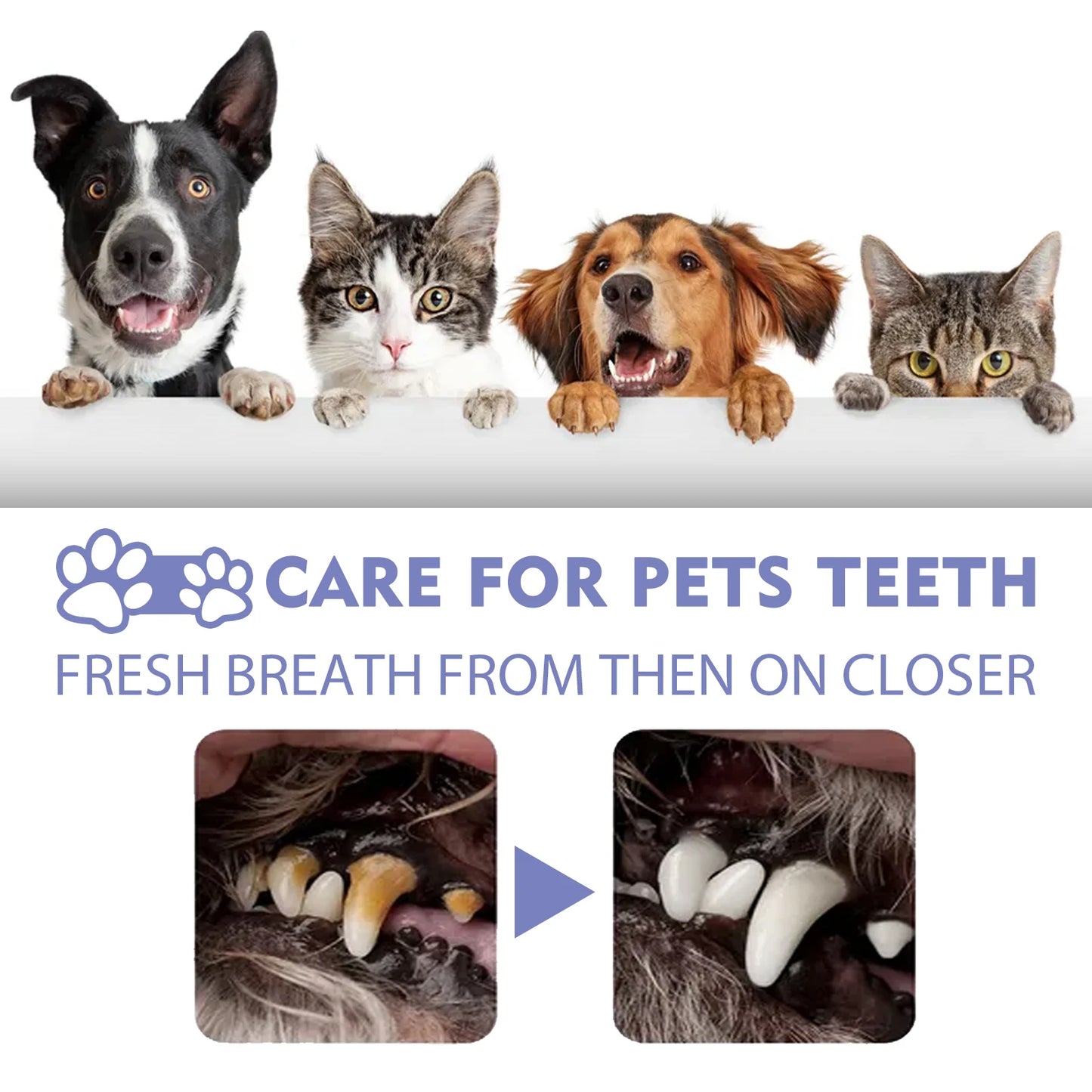 FreshCrocs – Dentifrice Doux & Efficace pour Animaux