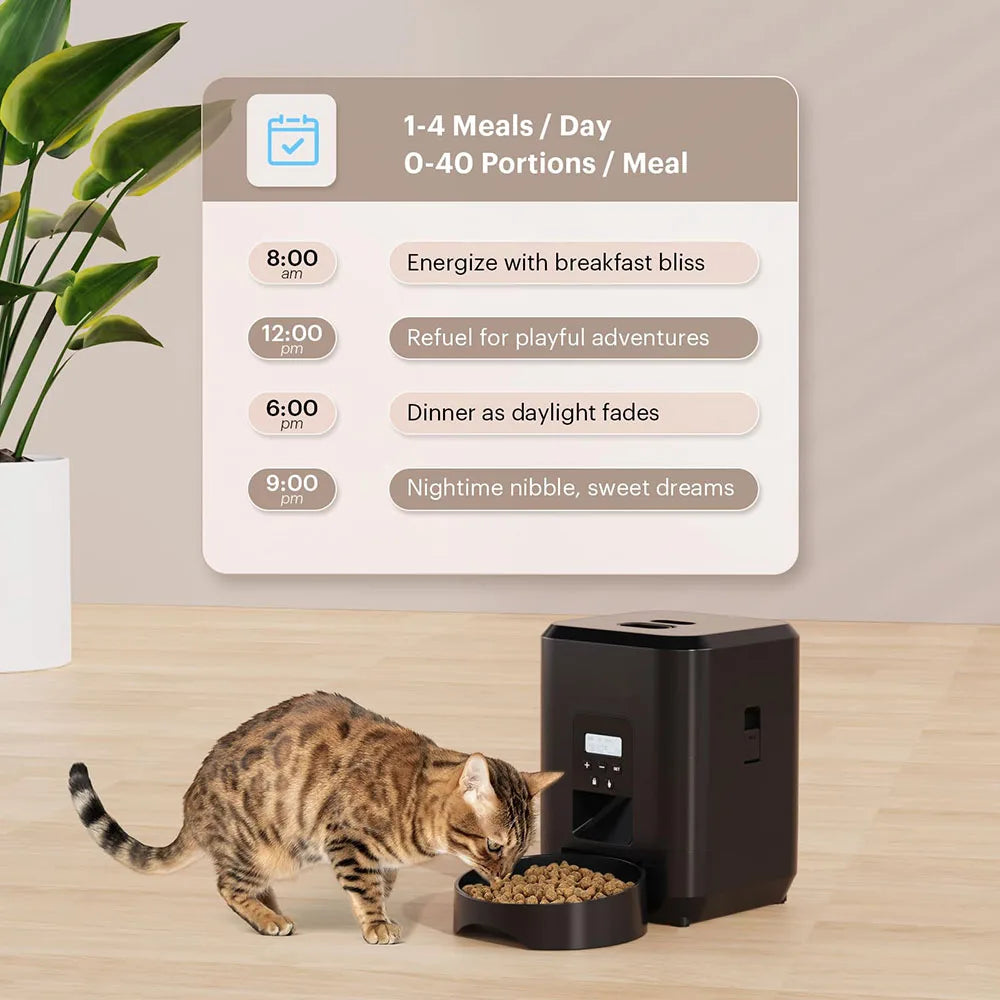 SmartMiaou – Distributeur Automatique Intelligent