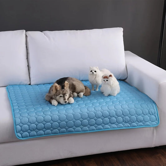 Brise de Pattes – Tapis Rafraîchissant Multi-usage