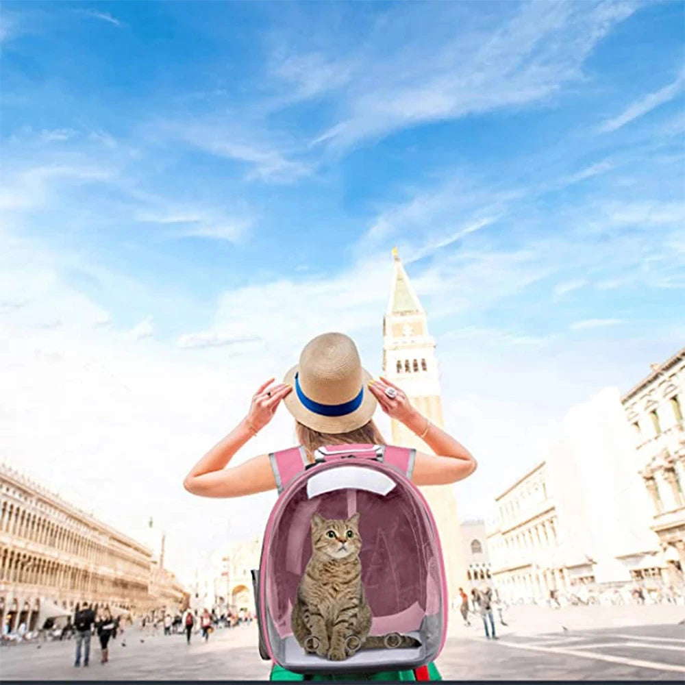 Miaoké – Sac de Transport Design pour Chat