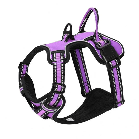TitanStrap – Harnais de Contrôle & Confort Absolu