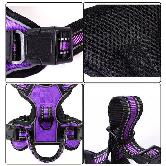 TitanStrap – Harnais de Contrôle & Confort Absolu