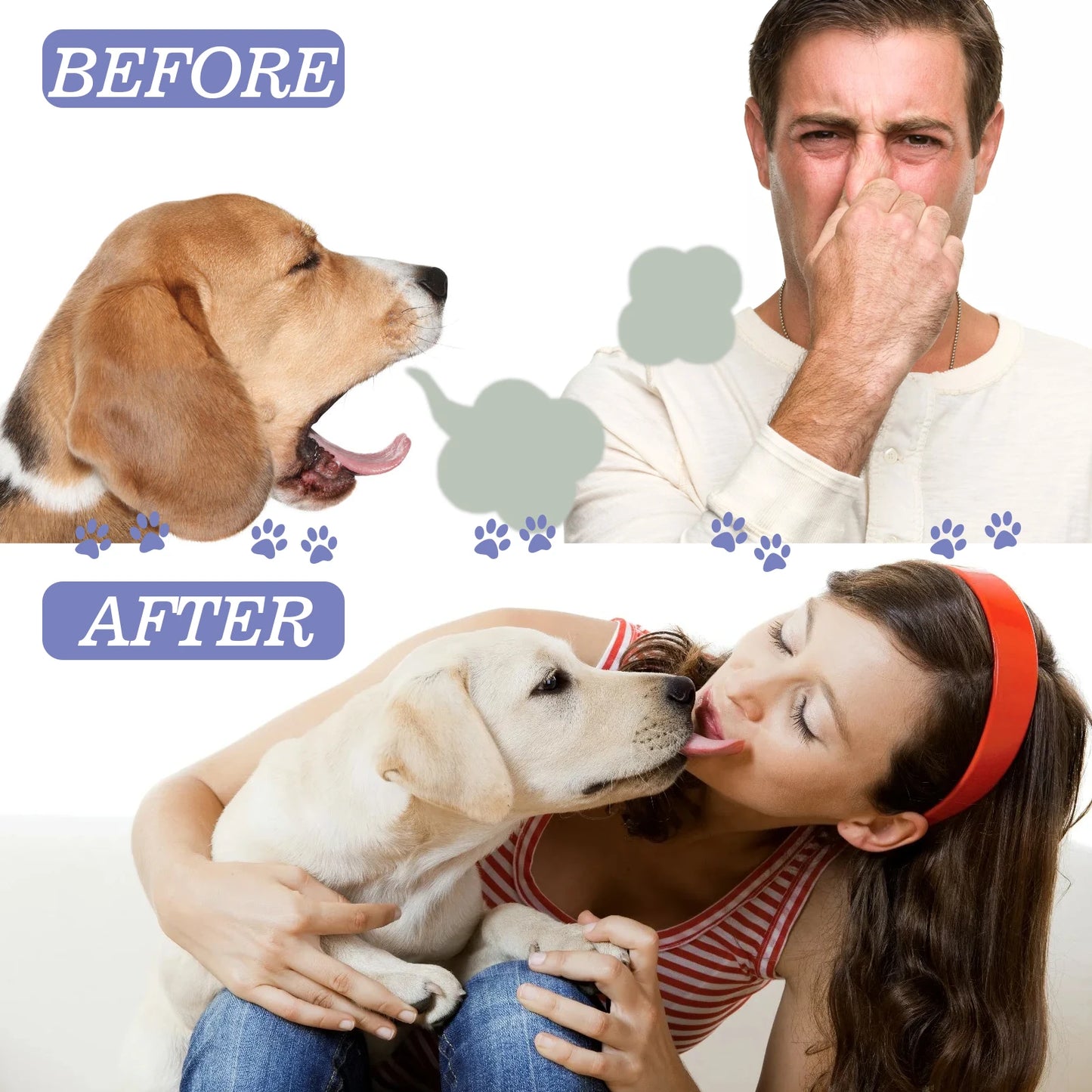 FreshCrocs – Dentifrice Doux & Efficace pour Animaux