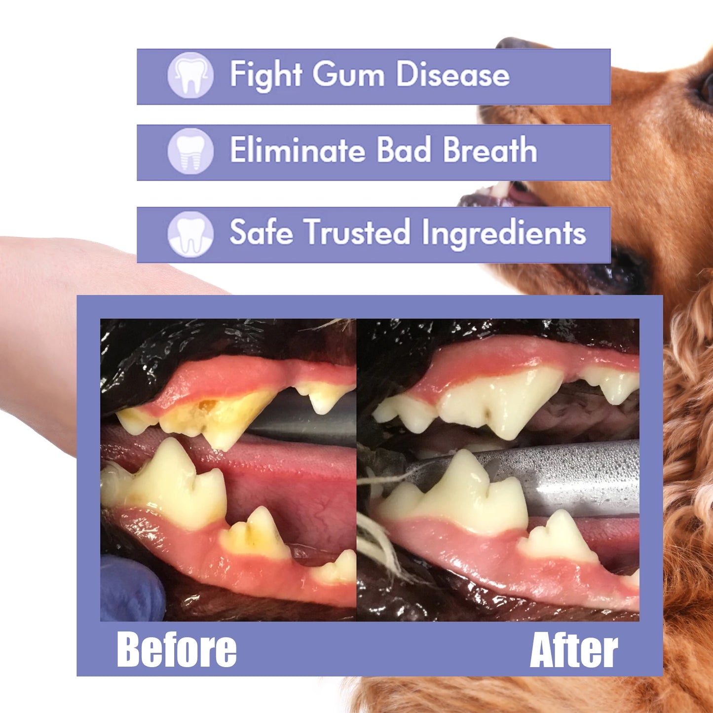 FreshCrocs – Dentifrice Doux & Efficace pour Animaux